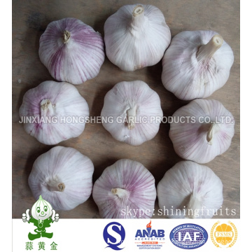 Fresh New Crop Normal White Garlic Size 5.0cm